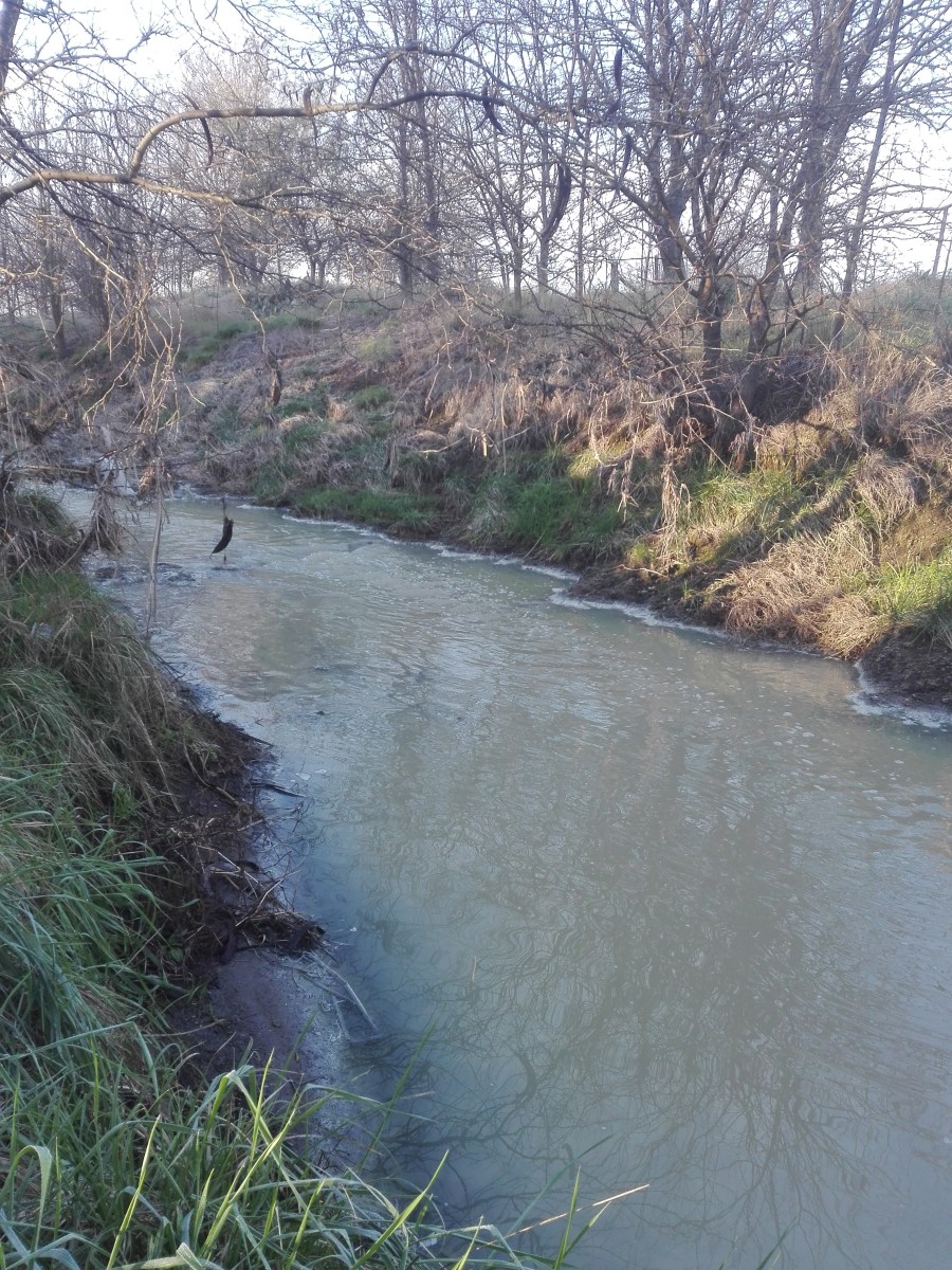 En Cañuelas denuncian la contaminación del Río Matanza&nbsp;Riachuelo