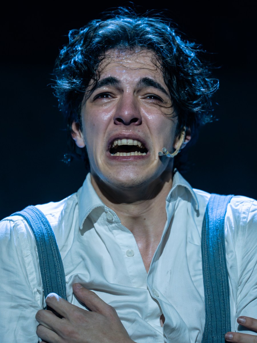 “Despertar de Primavera”: un musical&nbsp;urgente